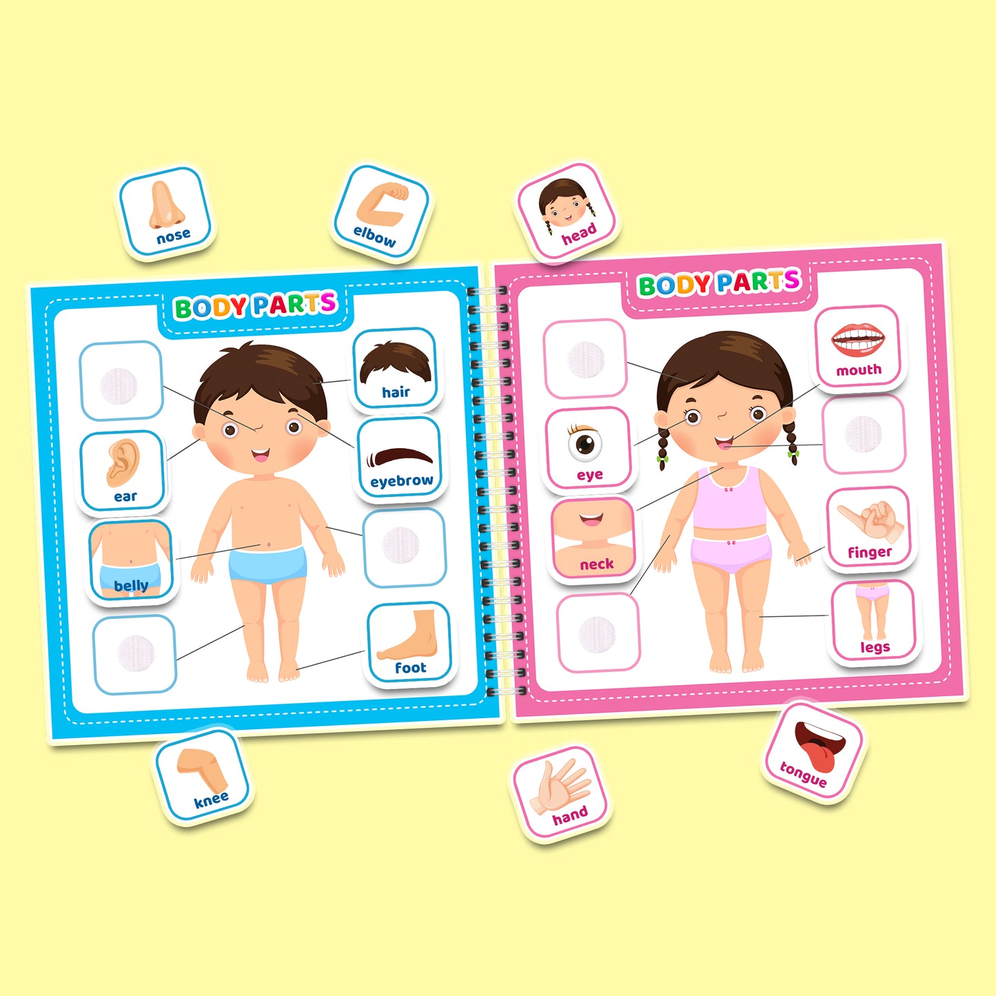 My First English (Part 1) – Interaktives Buch mit Klett-Stickern